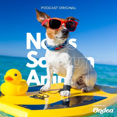 Rescate y entrenamiento canino con... Rescate y entrenamiento canino con...