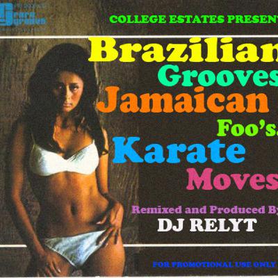 Brazilian Grooves, Jamaican Foo's, Karate Moves. MIXTAPE By Dj relyT Brazilian Grooves, Jamaican Foo's, Karate Moves. MIXTAPE By Dj relyT