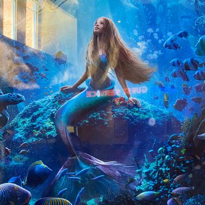 Reviews of The Flash and Little Mermaid Reviews of The Flash and Little Mermaid