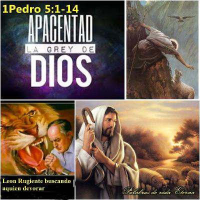 10-Apacentad la Grey de Dios.mp3