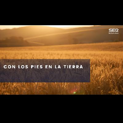Con los pies en la tierra: la prevención de incendios en invierno