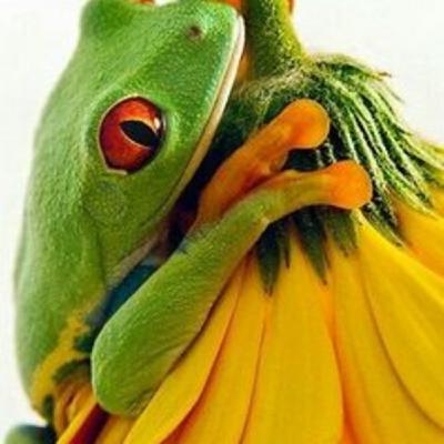 Episode 15: Portamento On Air #15 Episode 15: Portamento On Air #15