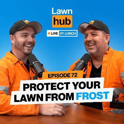 New lawn care must-have app? | Lawnhub Live at Lunch EP 72