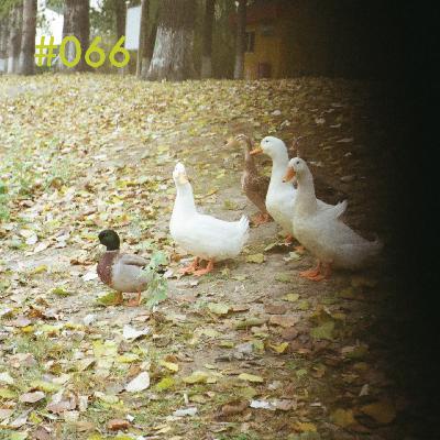 vol.66 三十岁后，反倒拥有了更多纯粹的快乐