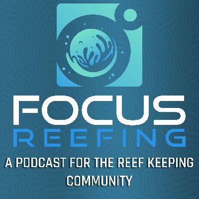 Building a Reef Tank With Growth in Mind | @EmpireReefer