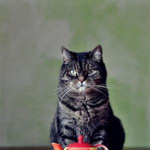 Untruths podcast-episode 7