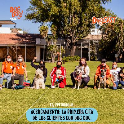 Acercamiento: la primera cita de los clientes con Dog Dog