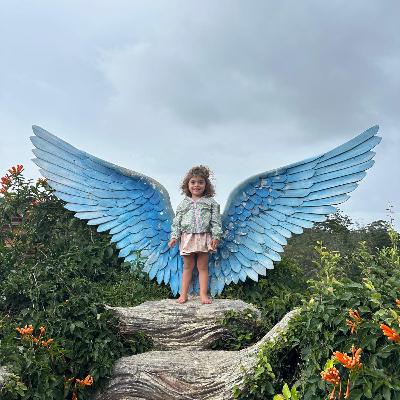 פרק 12 - מטיילים שנתיים