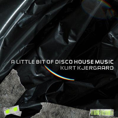 A Little Bit Of Disco House Music