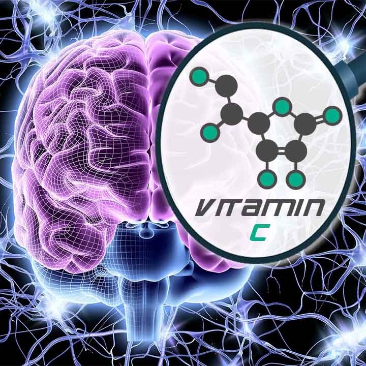 Vitamin C is sort of a Nootropic 🔬 Biohacker Overview of Ascorbic Acid