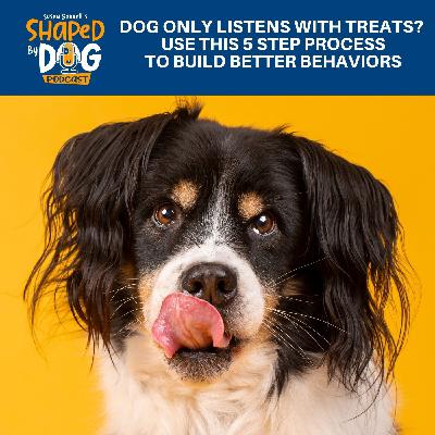Dog Only Listens With Treats? Use This 5 Step Process To Build Better Behaviors #306