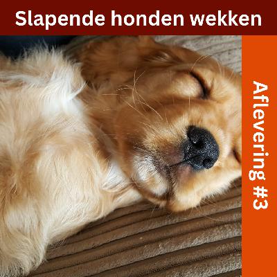 #3 - Slapende honden wakker maken na de rookstop