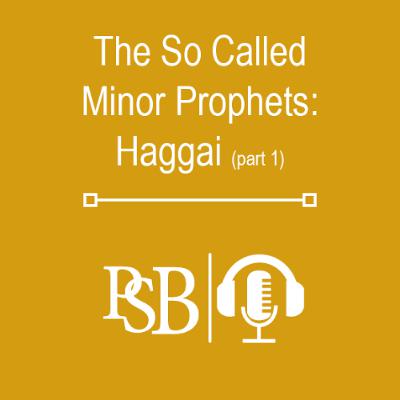 287 | The So Called Minor Prophets: Haggai (part 1 of 2) 287 | The So Called Minor Prophets: Haggai (part 1 of 2)