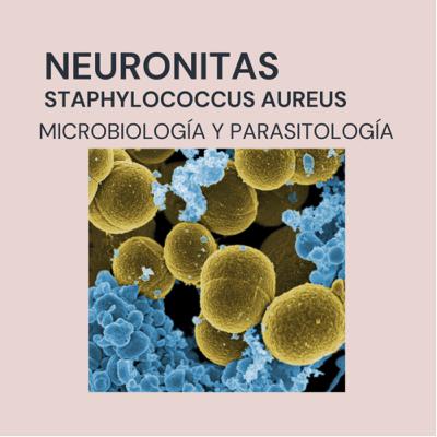 Staphylococcus Aureus