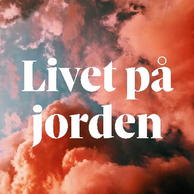 Livet på jorden med Yusuf Aydin