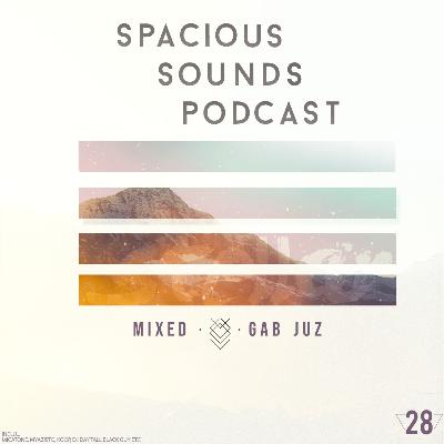 Spacious Sounds Podcast SHOW #28