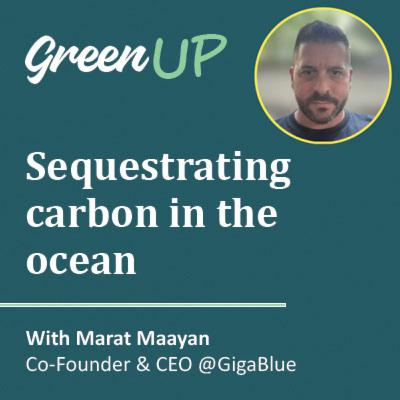 Sequestrating Carbon in the Ocean