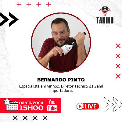 BERNARDO PINTO (Vinhos da Espanha) - Tanino Cast #071