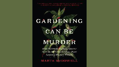 Gardening can be murder; Caring for succulents