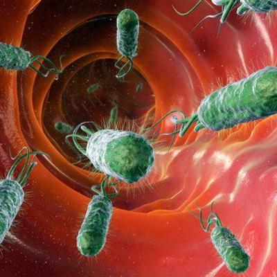 Género Vibrio