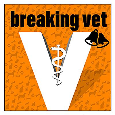 #31 Zuckerblut & Käsefondue -🎄 Weihnachten bei breaking vet 🎄