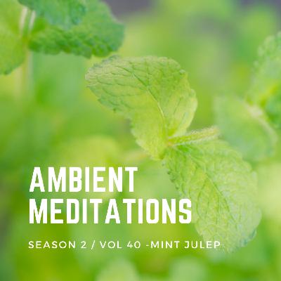 Magnetic Magazine Presents: Ambient Meditations Season 2 - Vol 40 - Mint Julep