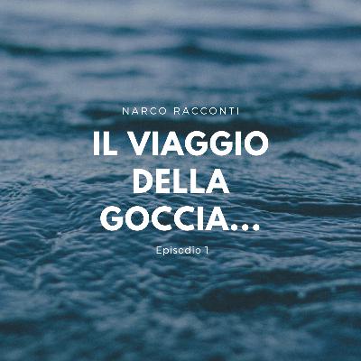 Il viaggio della Goccia... Il viaggio della Goccia...
