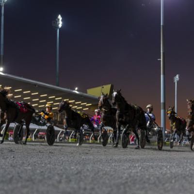 The Creek Conversations - Inter Dominion Finals Night