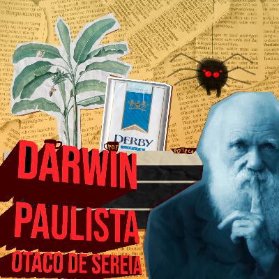 T1E1: No Sense - Darwin Paulista Otaco de Sereia T1E1: No Sense - Darwin Paulista Otaco de Sereia