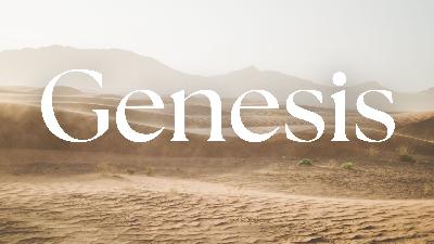 “Meeting God in the Wilderness”    Genesis 16:1-6