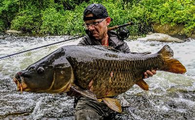 Ep. 34: Fly Fishing for Carp Ep. 34: Fly Fishing for Carp