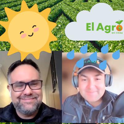 Cambio Climático y Agricultura entrevista a Gianfranco Marcone Cambio Climático y Agricultura entrevista a Gianfranco Marcone