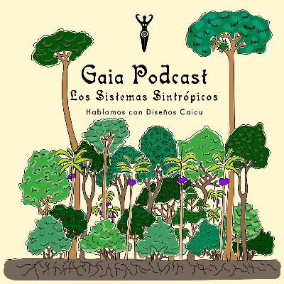 Gaia Podcast ep18 - Sistemas Sintropicos con Diseños Caicu
