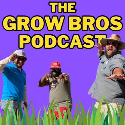 Buying Trees, Flower Beds and Pineapple on Pizza! | The Grow Bros Podcast Ep. 103 Buying Trees, Flower Beds and Pineapple on Pizza! | The Grow Bros Podcast Ep. 103