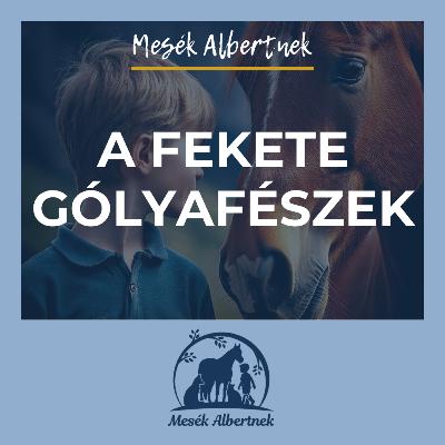 A fekete gólyafészek A fekete gólyafészek