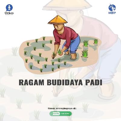 Season 5 Episode 5: Ragam Budidaya Padi