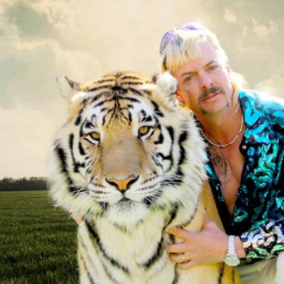 Tiger King Tiger King