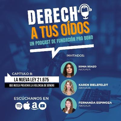 Nueva Ley 21.675, que busca prevenir la violencia de género