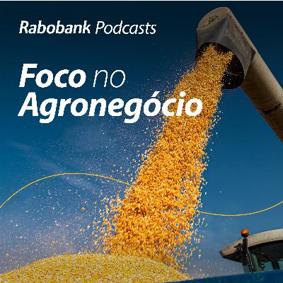 Olho no Mercado l Atualização mercado de grãos