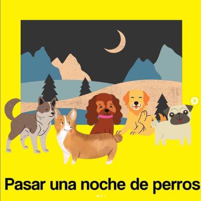 INSTAGRAM DO KOSZENIA TRAWY [18] | Pasar una noche de perros | Źle spać