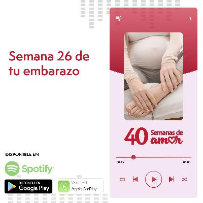 40 Semanas de Amor - Semana 26 de Embarazo