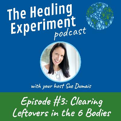 Ep3: Clearing Leftovers in the 6 Bodies with Sue Dumais Ep3: Clearing Leftovers in the 6 Bodies with Sue Dumais