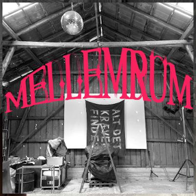 Mellemrum - uafhængige udstillingssteder i Danmark #13 Ringsted Galleriet