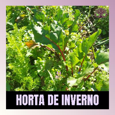 Ep.15 - "Horta de Inverno"