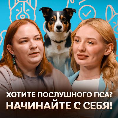 Почему собака не слушается? Кинолог о дрессировке собак / Догси подкаст #3