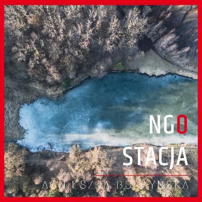114: Regulamin pod lupą: sprawdź to zanim zaczniesz pisać projekt