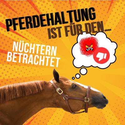 Pferdehaltung ist für den Popo ✳️