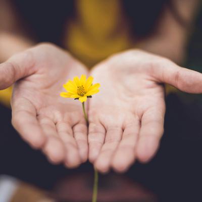 20241126 - Loving kindness