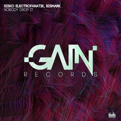 Bismark & Sisko Electrofanatik - Nobody Drops It (Radio Edit)