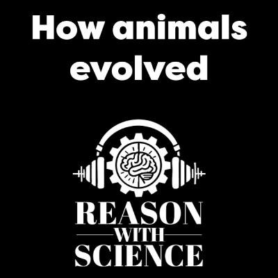 How animals evolved with Iñaki Ruiz-Trillo | Reason with Science | Evolution | Multicellularity